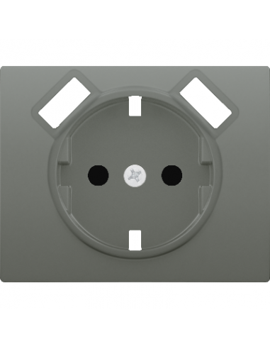 Tapa Schuko® con doble cargador USB...