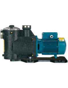 Bomba autoaspirante para...