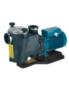 Bomba autoaspirante para... 2